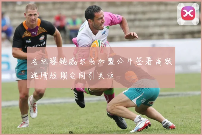 名记曝鲍威尔或加盟公牛签署高额递增短期合同引关注